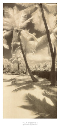 PGM FNS 45 Susan Friedman Palm Shadows II Kunstdruck 45x99cm | Yourdecoration.de