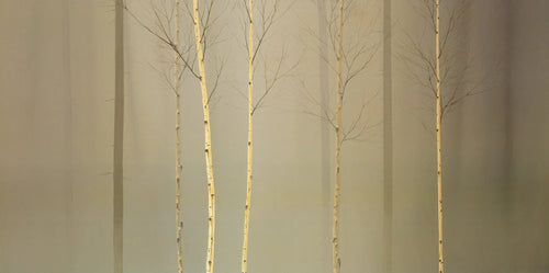 PGM MGD 212 Ged Mitchell Winterlely Wood Kunstdruck 100x50cm | Yourdecoration.de