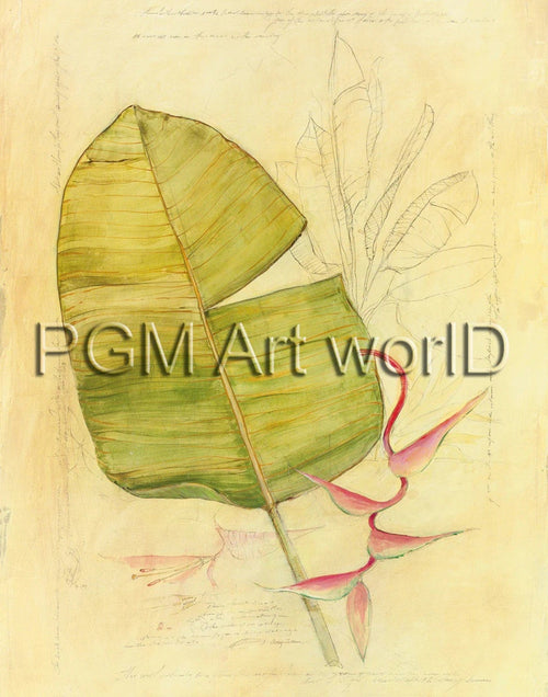 PGM TNA 52 Avery Tillmon Botanical Journal I Kunstdruck 56x71cm | Yourdecoration.de