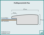 Pisa Detail Querschnitt Zeichnung | Yourdecoration.de