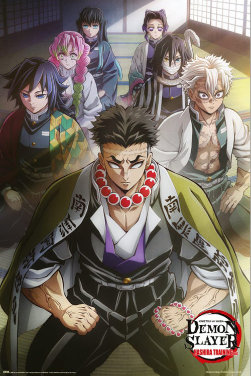 Poster Demon Slayer Hashira Training 1 61x91 5cm GPE6072 | Yourdecoration.de