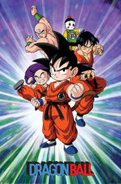 Poster Dragon Ball Group 61x91 5cm PP2501612 | Yourdecoration.de