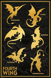 Poster Fourth Wing Dragons 61x91 5cm GBYDCOA048 | Yourdecoration.de