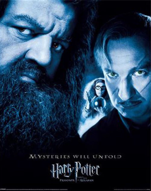 Poster Harry Potter The Prisoner Of Azkaban 40x50cm Pyramid MPP50820 | Yourdecoration.de