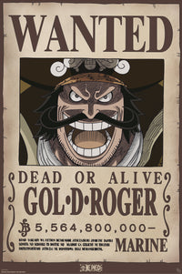 Poster One Piece Wanted Gol D Roger 61x91 5cm Abystyle GBYDCO595 | Yourdecoration.de