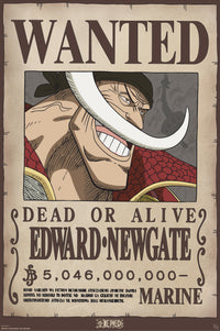 Poster One Piece Wanted Whitebeard 61x91 5cm GBYDCO596 | Yourdecoration.de
