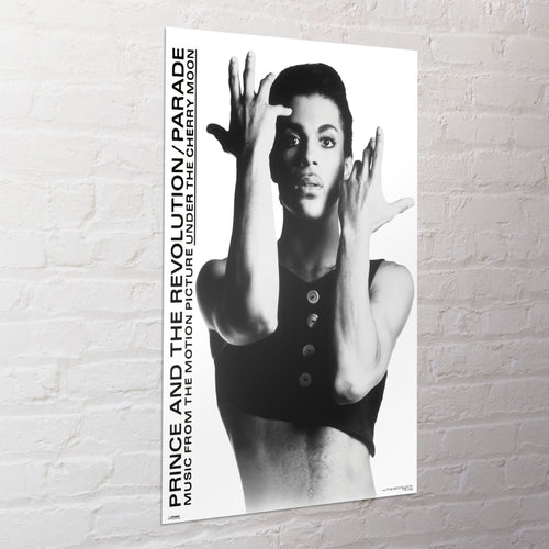 Poster Prince 61x91 5cm WPSX056 Sfeer | Yourdecoration.de