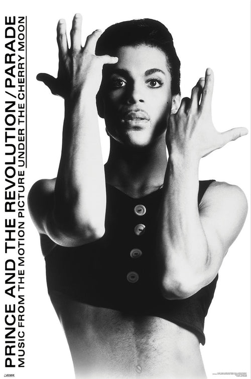 Poster Prince 61x91 5cm WPSX056 | Yourdecoration.de