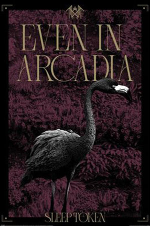 Poster Sleep Token Arcadia 61x91 5cm PP2501072 | Yourdecoration.de