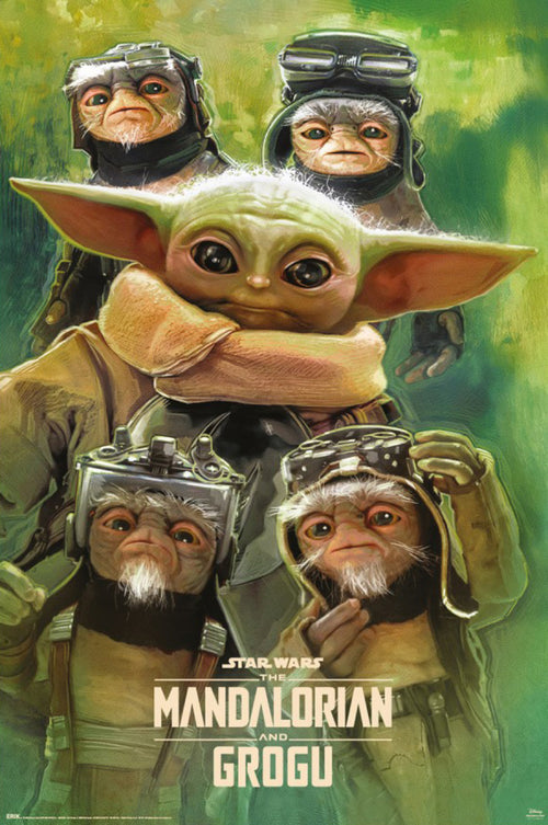 Poster Star Wars The Mandalorian And Grogu Grogu Anzellans 61x91 5cm GPE6055 | Yourdecoration.de