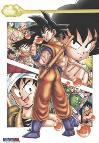 Dragon Ball Db Son Goku Story Poster 61X91 5cm | Yourdecoration.de