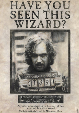 Harry Potter Wanted Sirius Black Poster 61X91 5cm | Yourdecoration.de