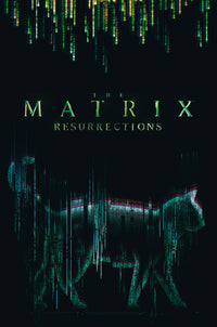 Abystyle Abydco864 The Matrix Cat Poster 61x91,5cm | Yourdecoration.de