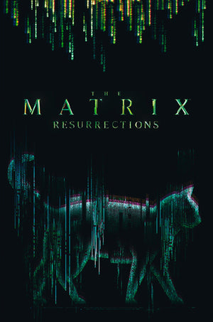 Abystyle Abydco864 The Matrix Cat Poster 61x91,5cm | Yourdecoration.de