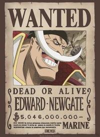 Abystyle Gbydco263 One Piece Wanted Whitebeard Poster 38x52cm | Yourdecoration.de