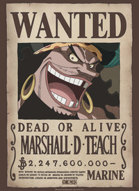 Abystyle Gbydco267 One Piece Wanted Blackbeard Poster 38x52cm | Yourdecoration.de