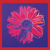 Andy Warhol - Daisy 1982 Kunstdruck 90x90cm | Yourdecoration.de