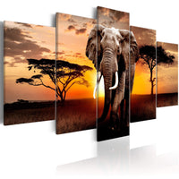 Artgeist Elephant Migration Canvas Leinwandbilder 5-teilig | Yourdecoration.de