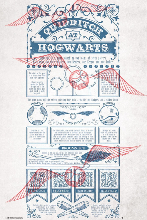 Gbeye Harry Potter Quidditch At Hogwarts Poster 61X91 5cm | Yourdecoration.de