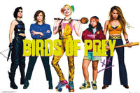 GBeye Birds of Prey Group Poster 91,5x61cm | Yourdecoration.de