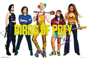 GBeye Birds of Prey Group Poster 91,5x61cm | Yourdecoration.de