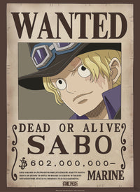 Gbeye Gbydco260 One Piece Wanted Poster 38x52cm | Yourdecoration.de
