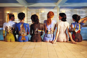 GBeye Pink Floyd Back Catalogue Poster 91,5x61cm | Yourdecoration.de