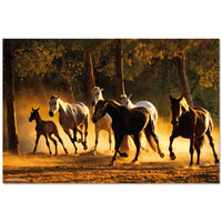 Grupo Erik GPE5532 Andalusian Horses Poster 91,5X61cm | Yourdecoration.de