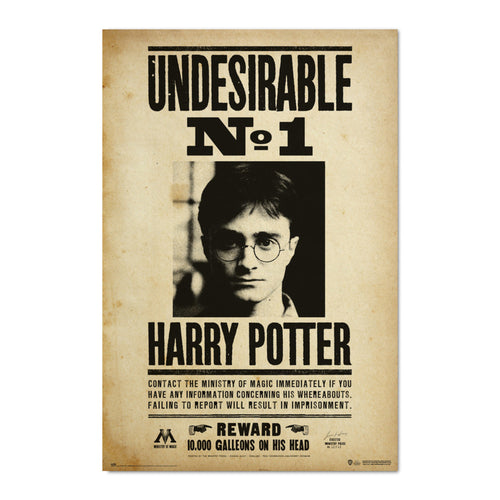 Grupo Erik Gpe5607 Poster Harry Potter Undesirable N1 | Yourdecoration.de