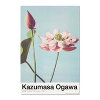 Grupo Erik Gpe5630 Poster Lotus Flowers By K Ogawa | Yourdecoration.de