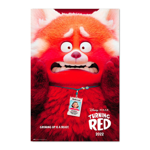 Grupo Erik Gpe5640 Pixar Turning Red Poster 61X91 5cm | Yourdecoration.de