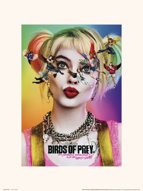 Grupo Erik Birds Of Prey Dazed And Confused Kunstdruck 30X40cm | Yourdecoration.de