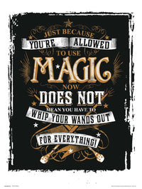 Grupo Erik Harry Potter Magic Kunstdruck 30X40cm | Yourdecoration.de