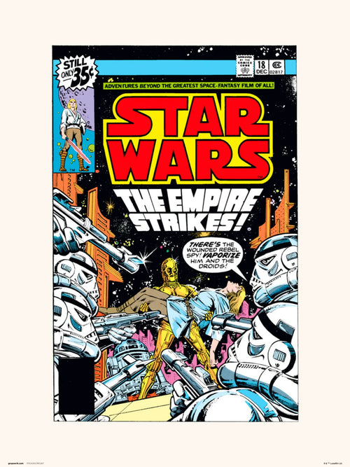 Grupo Erik Star Wars 18 The Empire Strikes Kunstdruck 30X40cm | Yourdecoration.de