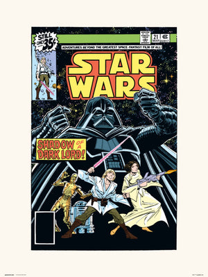 Grupo Erik Star Wars 21 Shadow Of A Dark Lord Kunstdruck 30X40cm | Yourdecoration.de