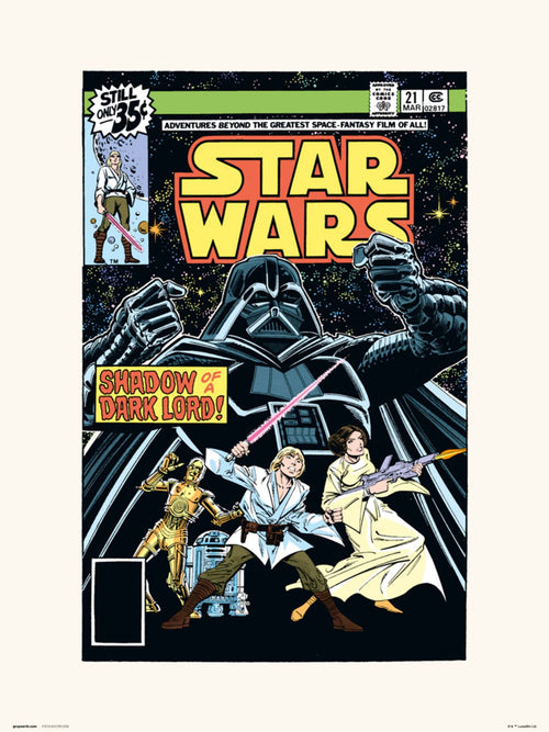 Grupo Erik Star Wars 21 Shadow Of A Dark Lord Kunstdruck 30X40cm | Yourdecoration.de