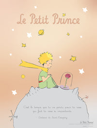 Grupo Erik The Little Prince Fr Kunstdruck 30X40cm | Yourdecoration.de