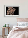 Komar Koala Bear Kunstdruck 70x50cm Interieur | Yourdecoration.de