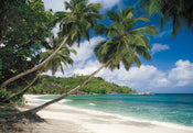 Komar Vlies Fototapete 8 308 Tropical Sea | Yourdecoration.de