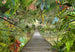 Komar Vlies Fototapete 8 977 Wild Bridge | Yourdecoration.de
