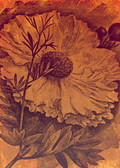 Komar Vlies Fototapete Inx4 031 Harvest | Yourdecoration.de