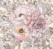 Komar Vlies Fototapete Inx6 001 Allegra | Yourdecoration.de