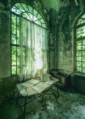 Komar Vlies Fototapete Shx4 145 Stanza Verde | Yourdecoration.de