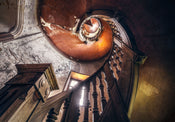 Komar Vlies Fototapete Shx8 165 Oak Spiral | Yourdecoration.de