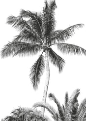 Komar Vlies Fototapete Iax4 0011 Retro Palm  | Yourdecoration.de