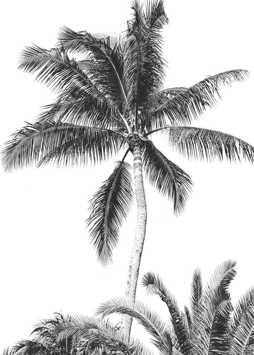 Komar Vlies Fototapete Iax4 0011 Retro Palm  | Yourdecoration.de