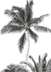 Komar Vlies Fototapete Iax4 0011 Retro Palm  | Yourdecoration.de