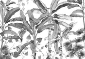 Komar Vlies Fototapete Inx8 082 Croissances Monochrome | Yourdecoration.de