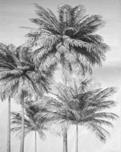 Komar Vlies Fototapete X4 1019 Cocco | Yourdecoration.de