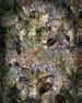 Komar Vlies Fototapete X4 1046 Wild Cats | Yourdecoration.de